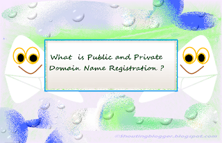 What is Public and Private Domain Registration What is Public and Private Domain Registration