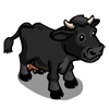 Farmville Black Shorthorn Cow