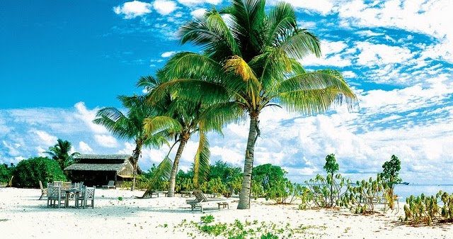 Pengertian Lingkungan Hidup Serta Cara Melestarikannya