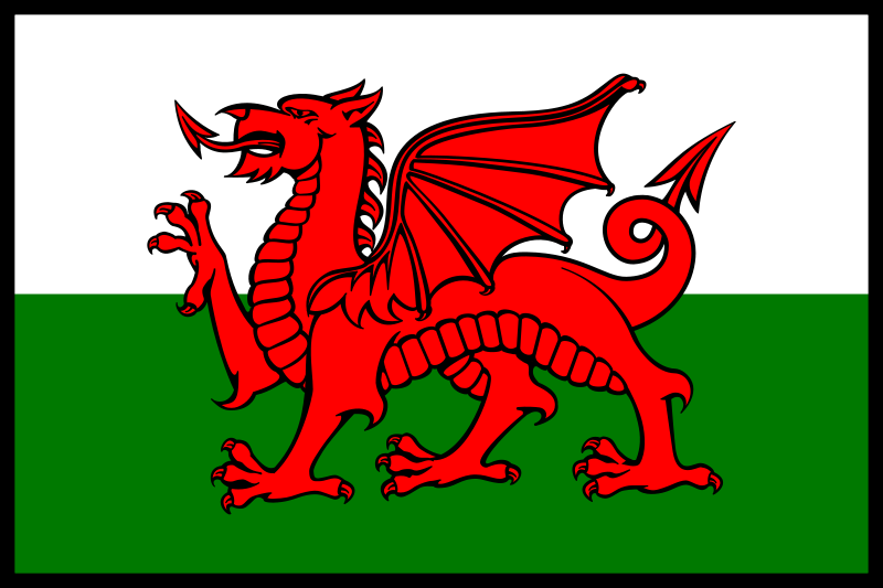 http://1.bp.blogspot.com/-_XUPwX2gZUc/TzEjL9qQ0FI/AAAAAAAACnk/QlDTIk4iyME/s1600/800px-Flag_of_Wales_(bordered)_svg.png