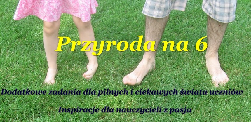 Przyroda na 6