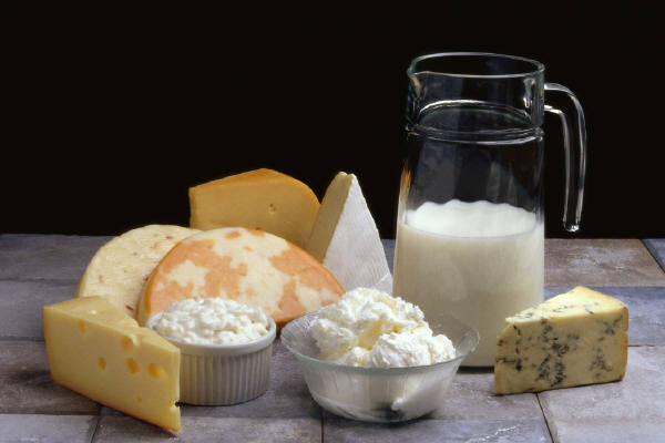 Dairy:Food Industry News