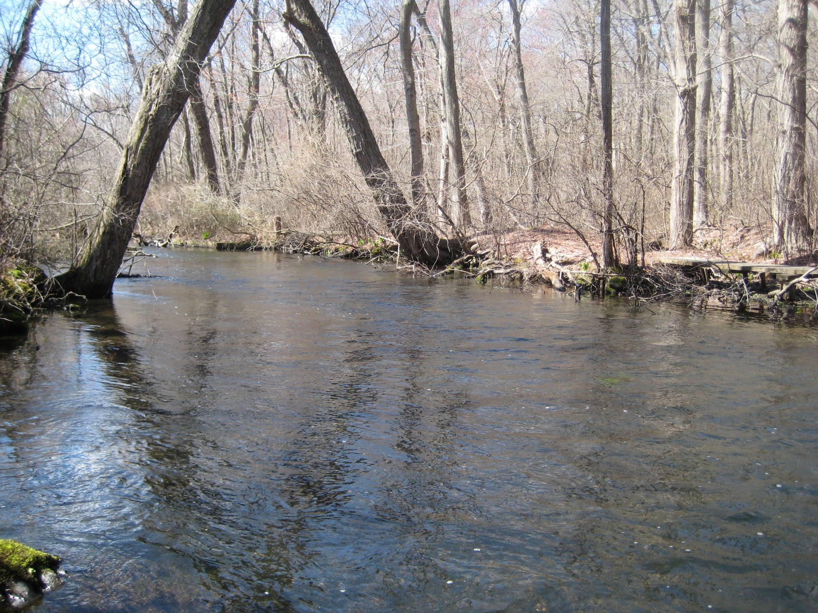 The North River The Nissequogue River and White's Pool