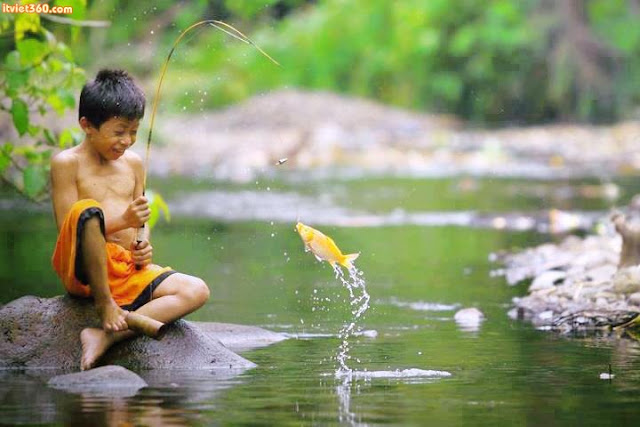 Chùm hình ảnh đẹp nghệ thuật về "tuổi thơ tôi" câu cá