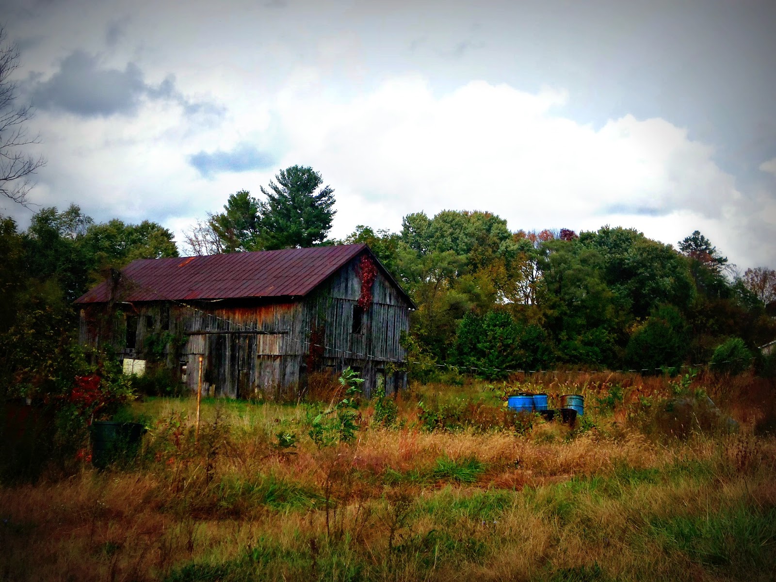 Around Roanoke, VA (A Daily Photo Blog) Rubbish Tuesday & The Barn