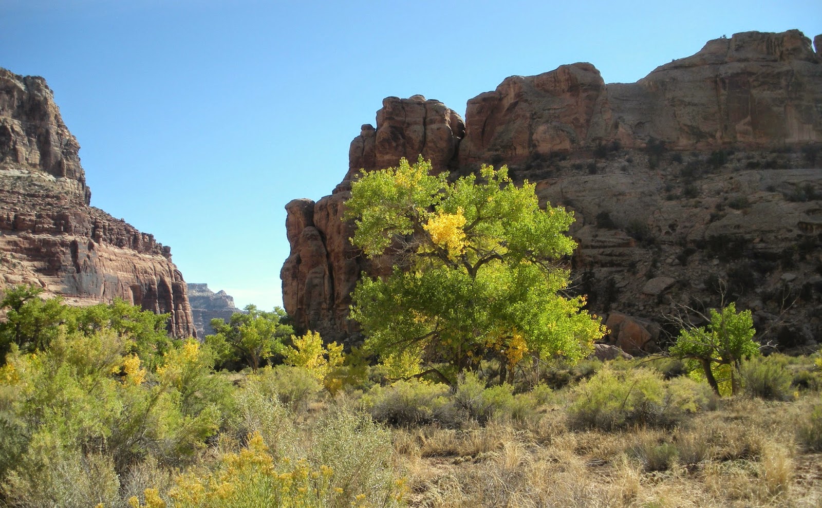 CSMS GEOLOGY POST DESERT VARNISH & THE COLORADO PLATEAU