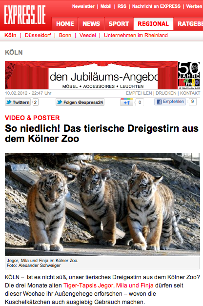 Worst Skateblog Worldwide Die Tiger Kinder Im Kolner Zoo