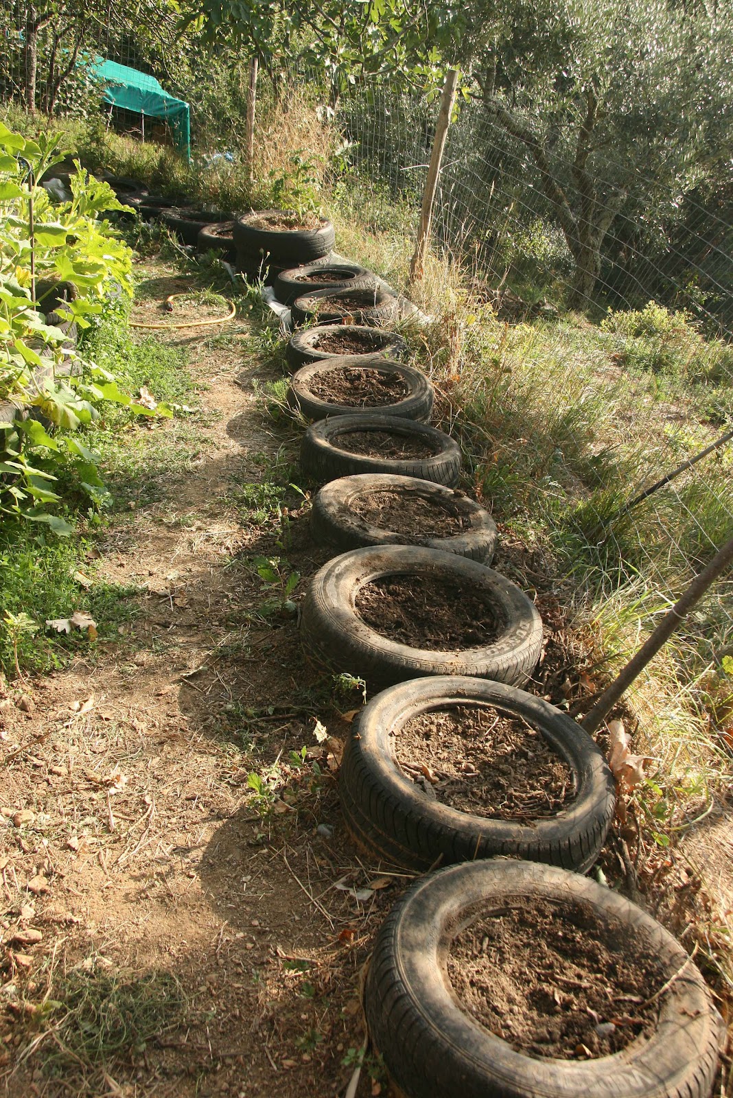 Casa Nella Foresta Planting potatoes in tires