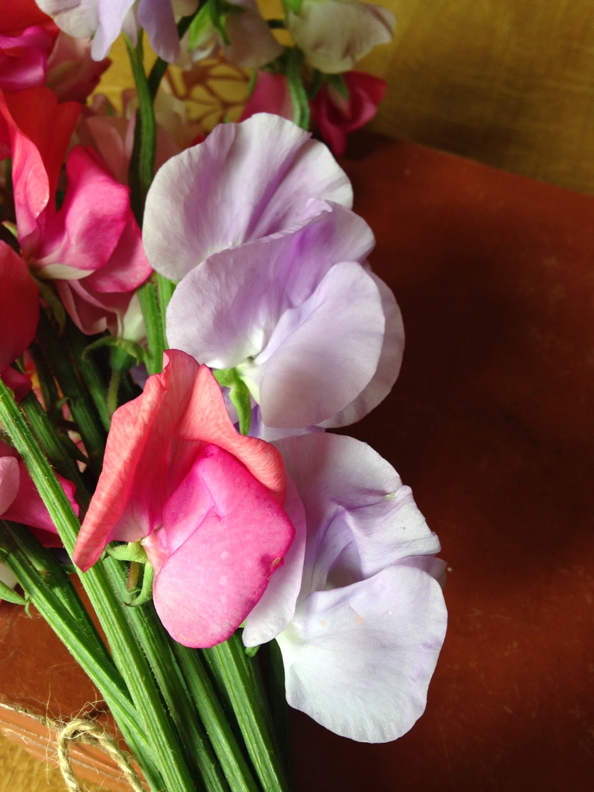 The Gwerclas Girl SWEET PEA HANDTIE