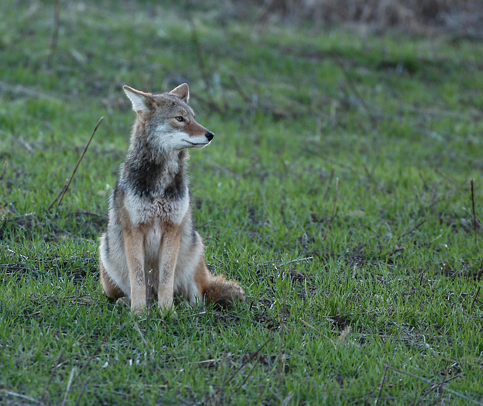 Ohio Wildlife Education Update: February 2013