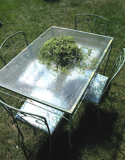 sisters garden: August 2012