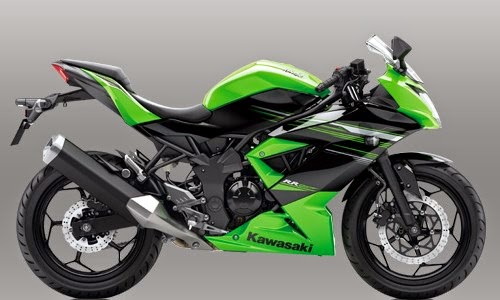 Kawasaki Ninja RR Mono Kawasaki Ninja RR Mono