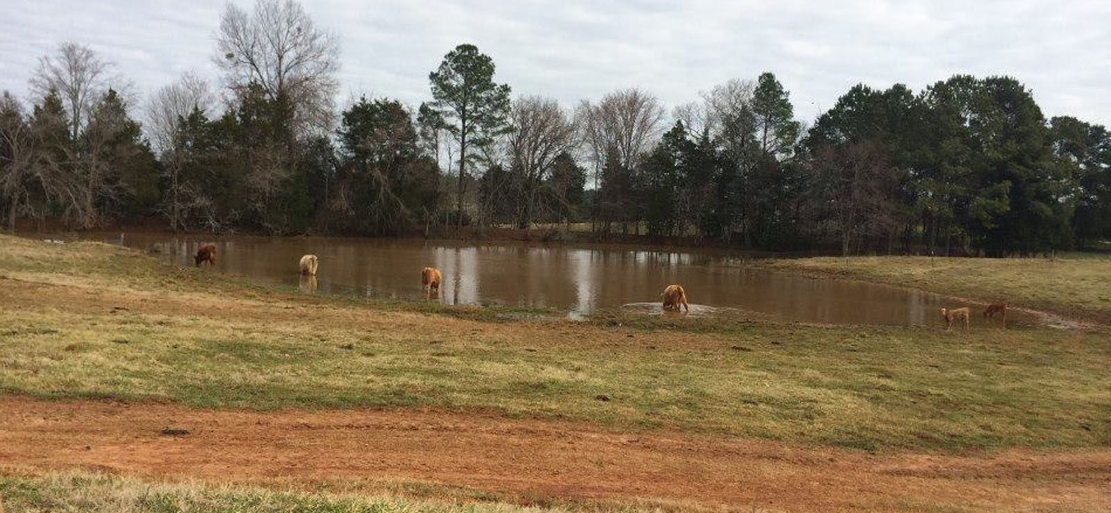 Cooking With Mary and Friends West Ridge Farms Premium Beef Farm Tour
