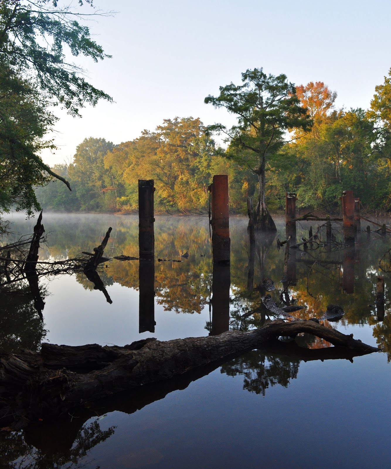 A Tidewater Paddler Nottoway River 10/6/12