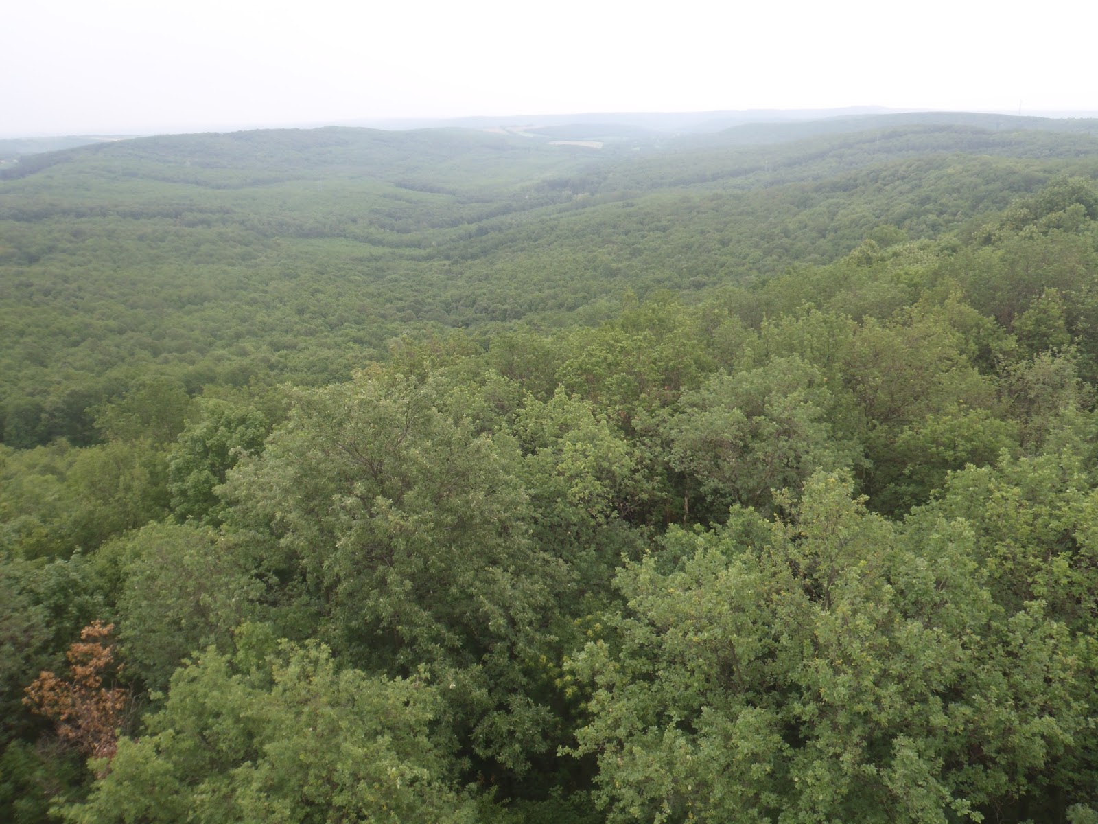 Tudtatok Hogy A Godolloi Dombvidek Egyuttal Tajvedelmi Korzet Is Seholorszag Online Magazin Szorakoztato Es Informacios Magazin