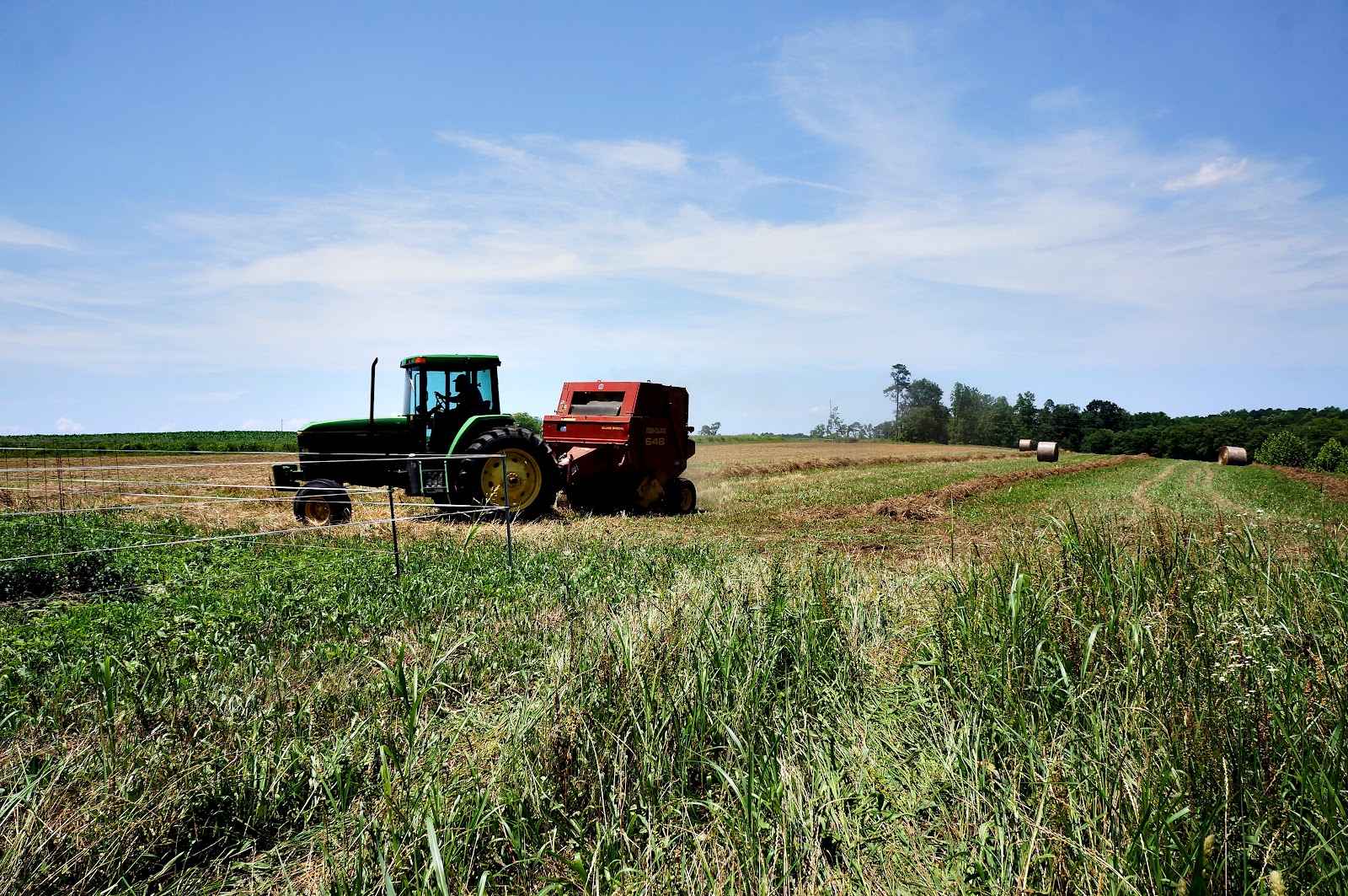 The Sustainable Way The Hardest Working Plants You'll Grow [Cover Crops]