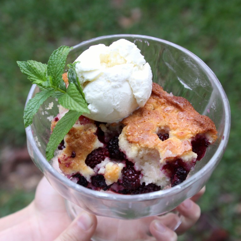 Menu Musings of a Modern American Mom Tarragon Chicken Salad with