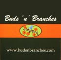 buds 'n' branches