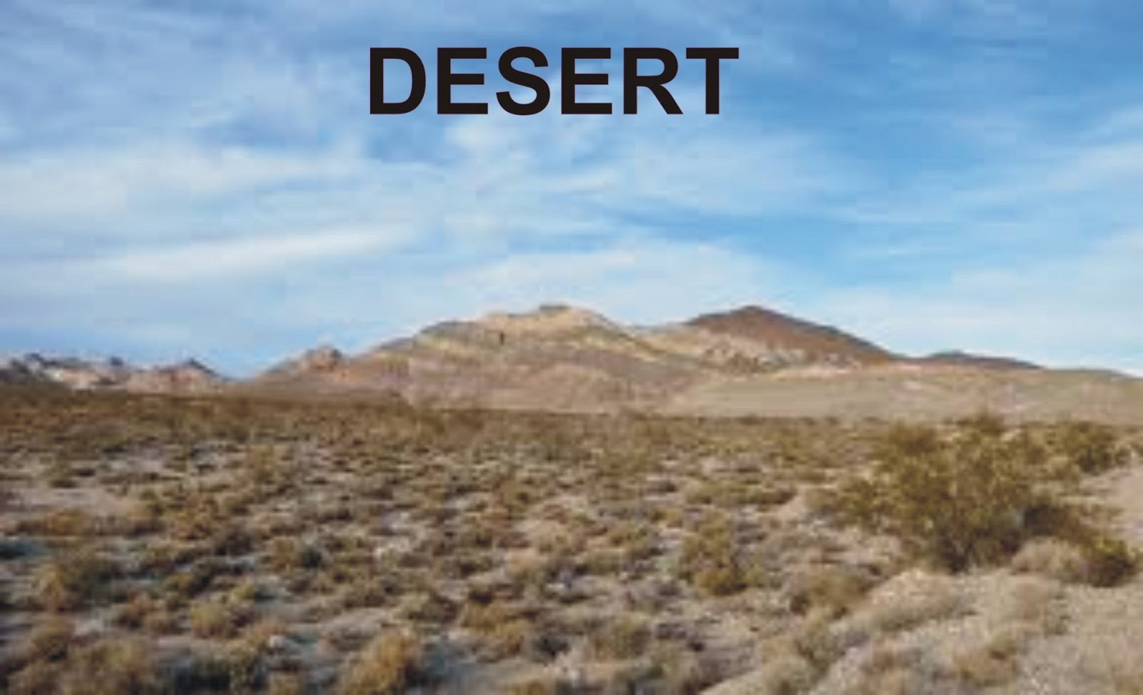 Dynamic DESERt