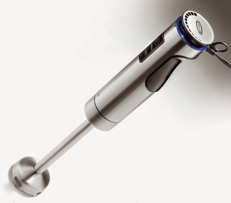 Kitchen Delights Stellar Stainless Steel Stick Blender Review