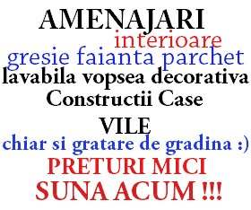 Amenajari interioare case vile