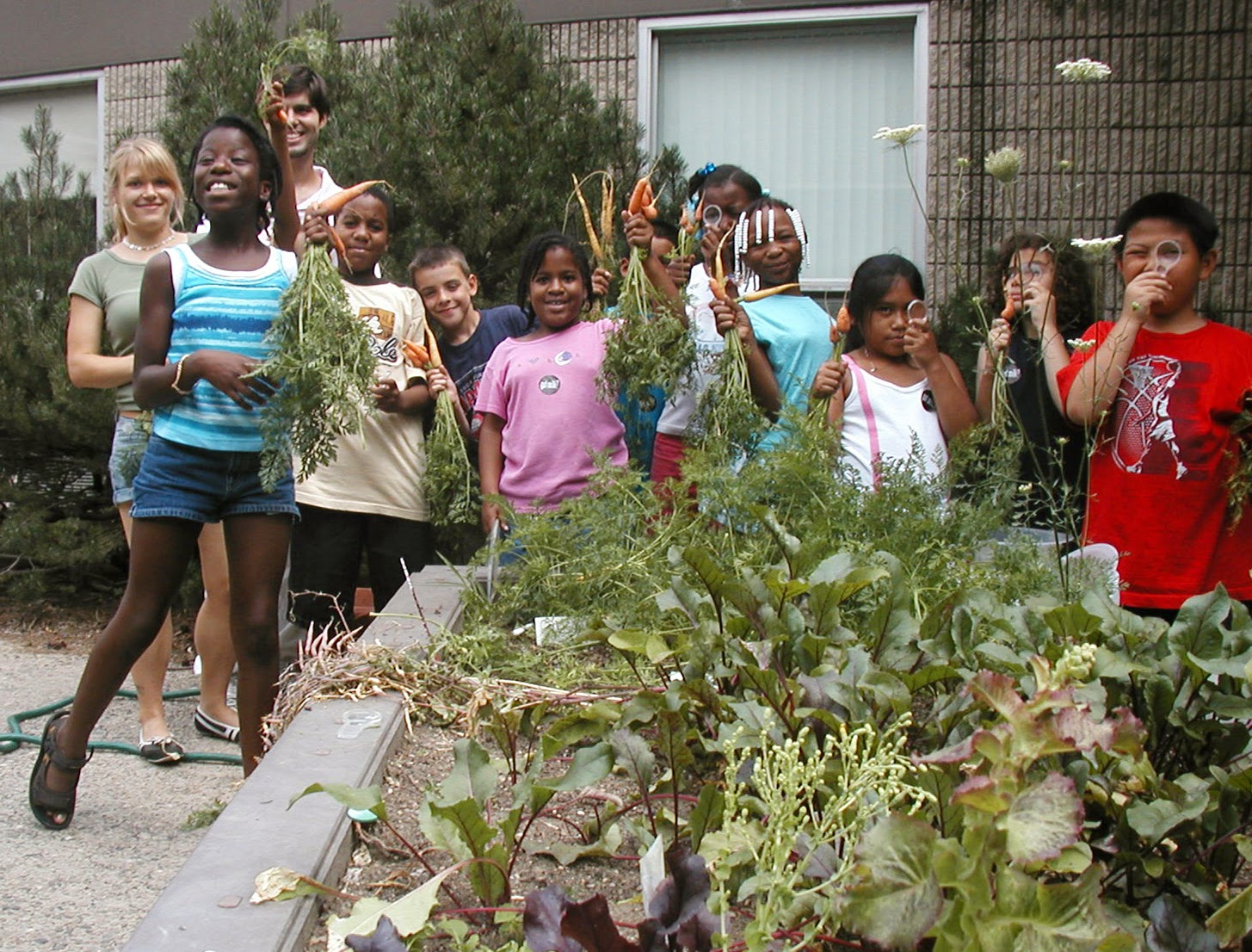 Our school garden essay picture