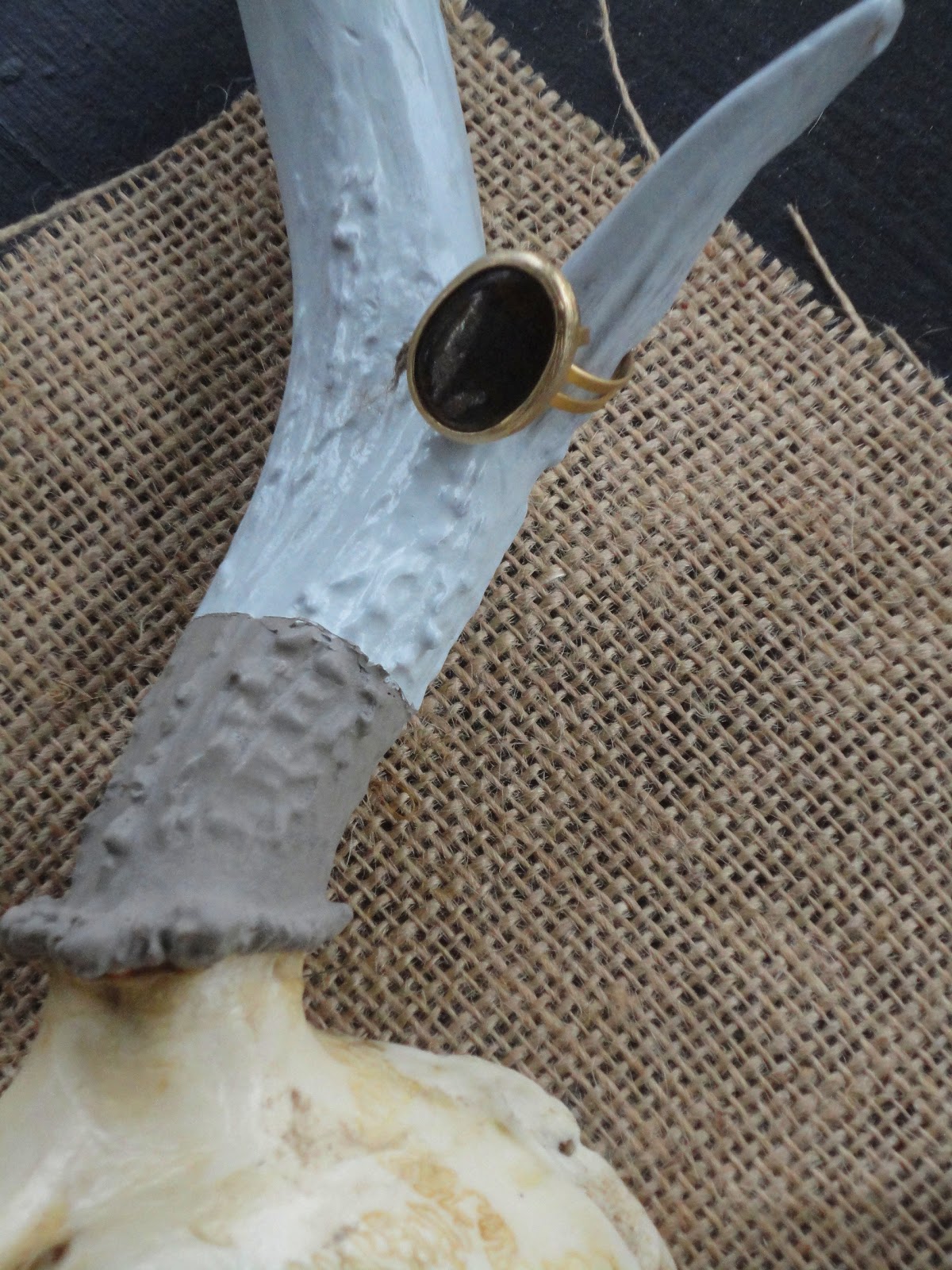 Behind the Red Door: Hand Painted Deer Antlers