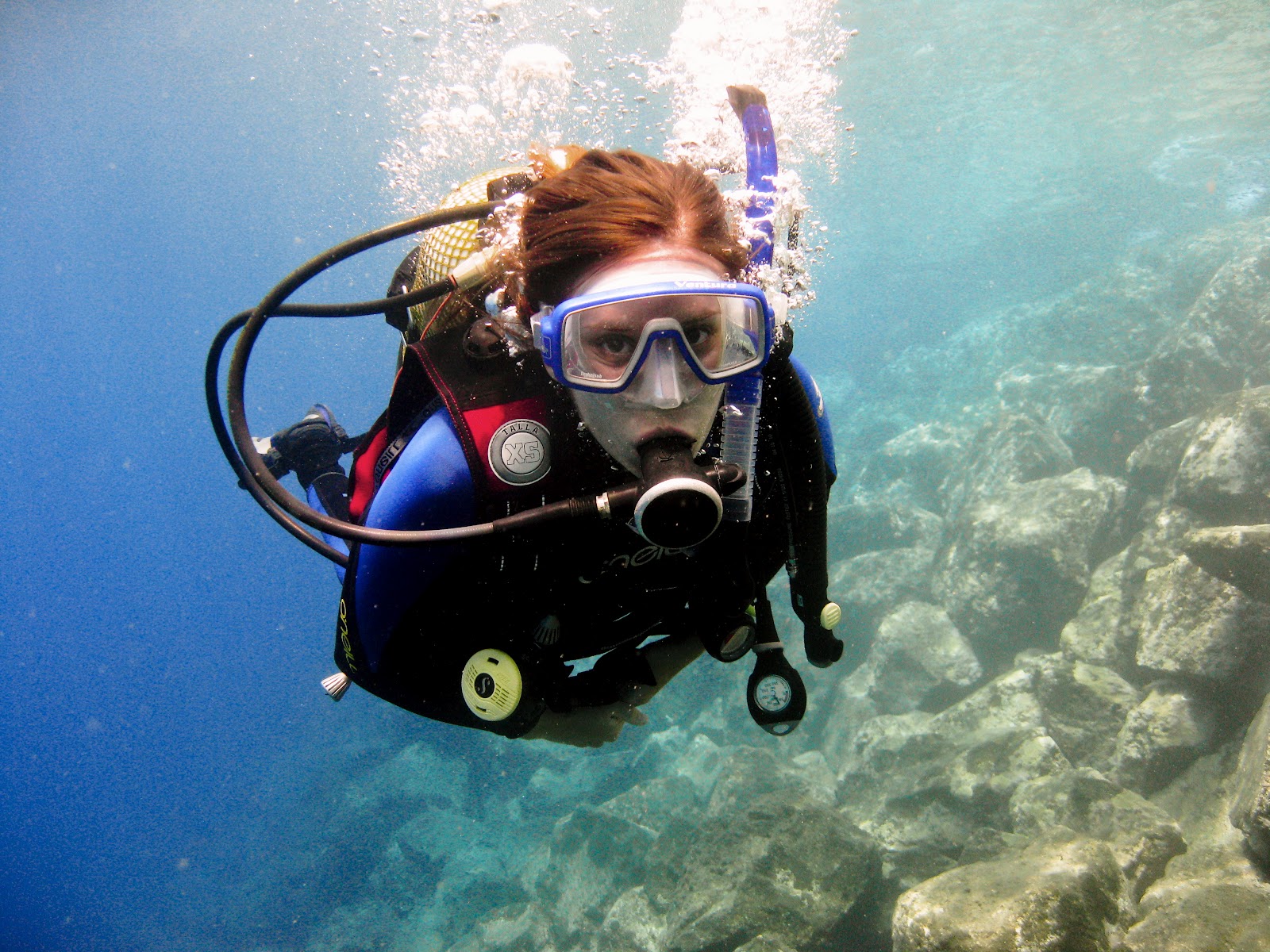 Amarilla Divers Tenerife Diving Tenerife Divemaster interns for July
