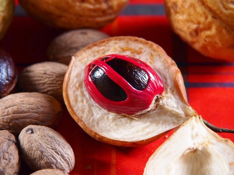 Poisonous fruits and vegetables every day we consume in food (11 photos