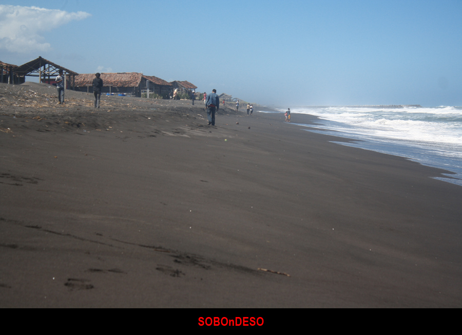 Pantai Congot Kulon Progo