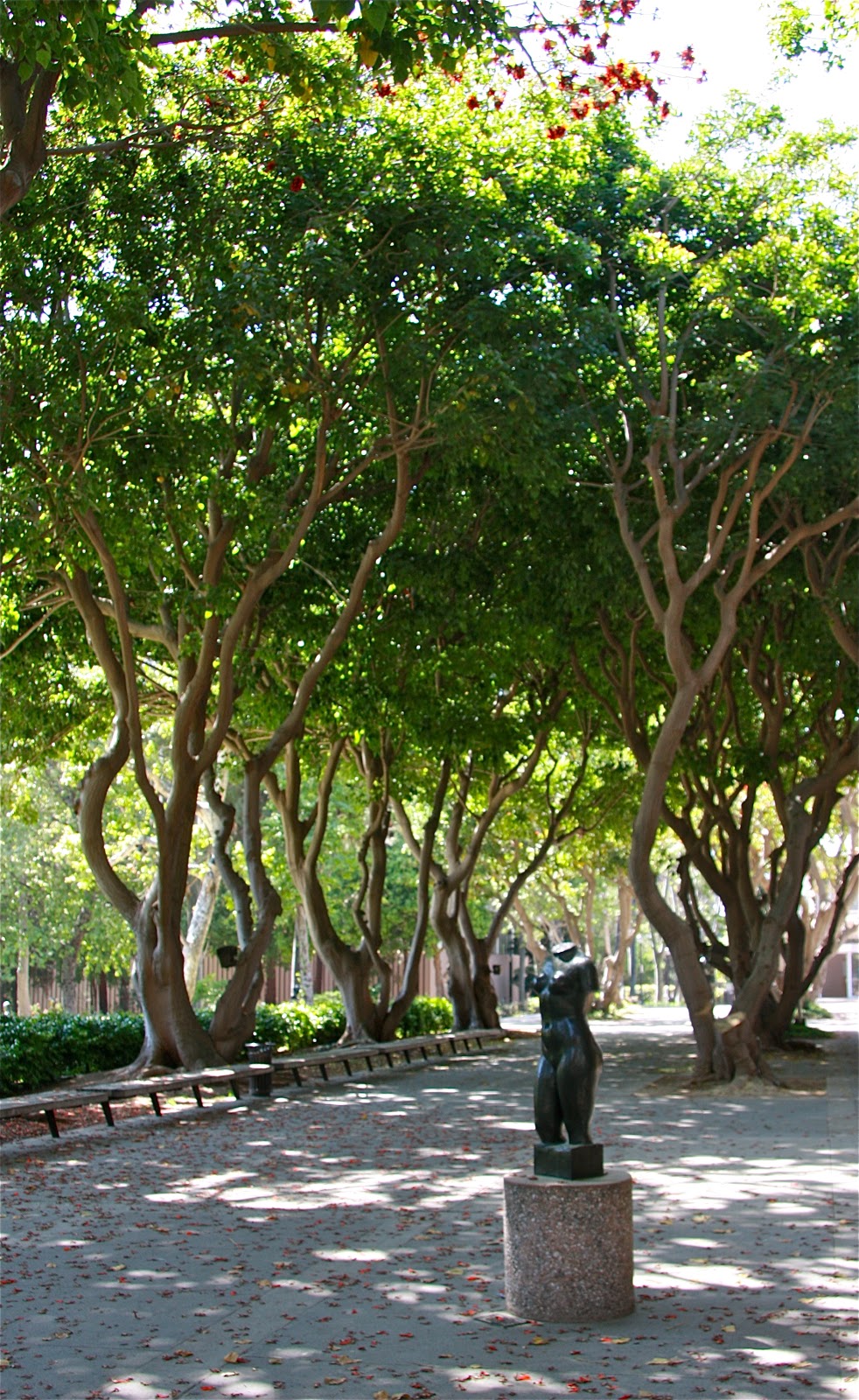 LA to Z The Franklin D. Murphy Sculpture Garden