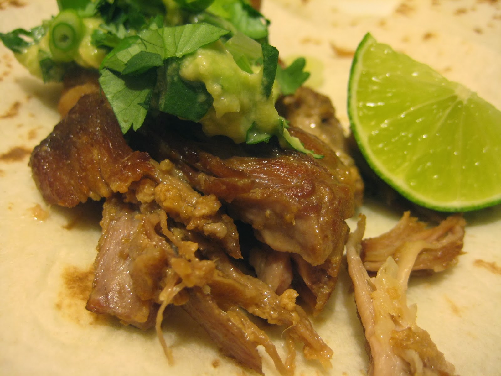 Bookcook CARNITAS