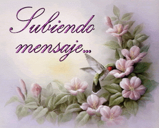 http://1.bp.blogspot.com/-_iQ_Hwt5XI4/Tu4gjf_3nII/AAAAAAAAKOU/HA-34X8Ib24/s320/Hummingbirds.gif