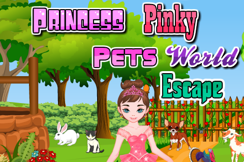 Princess Pinky Pets World Escape Walkthrough