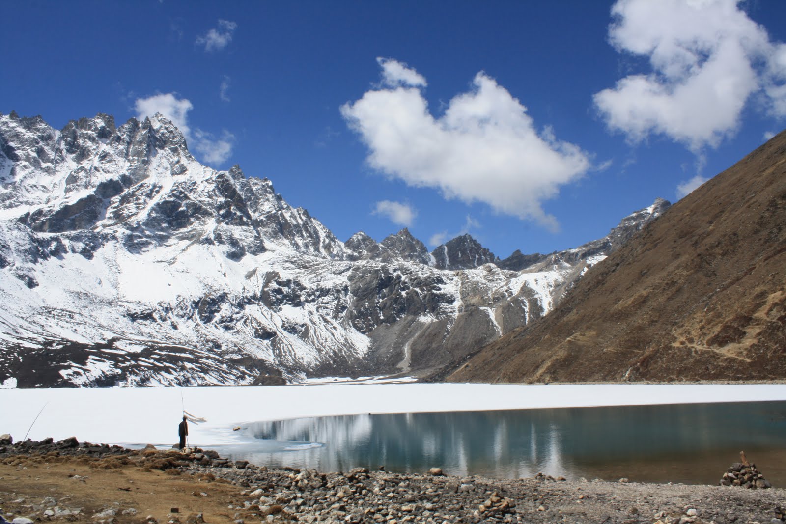 Alpine Environment
