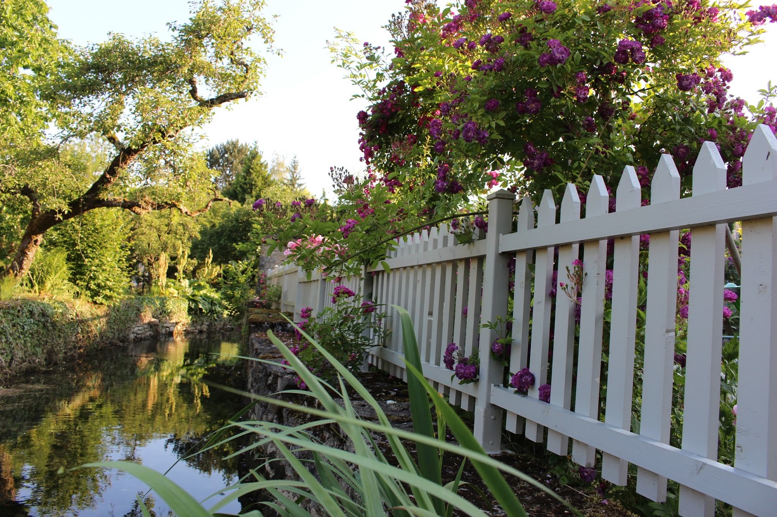 Notre jardin secret