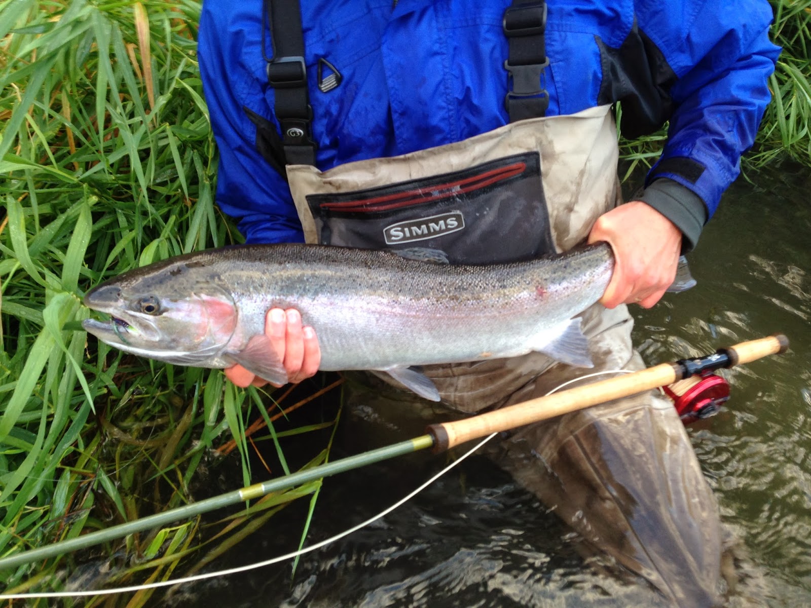 Gorge Fly Shop Blog: G. Loomis: Pro4x Spey Rods (a legend formed?)