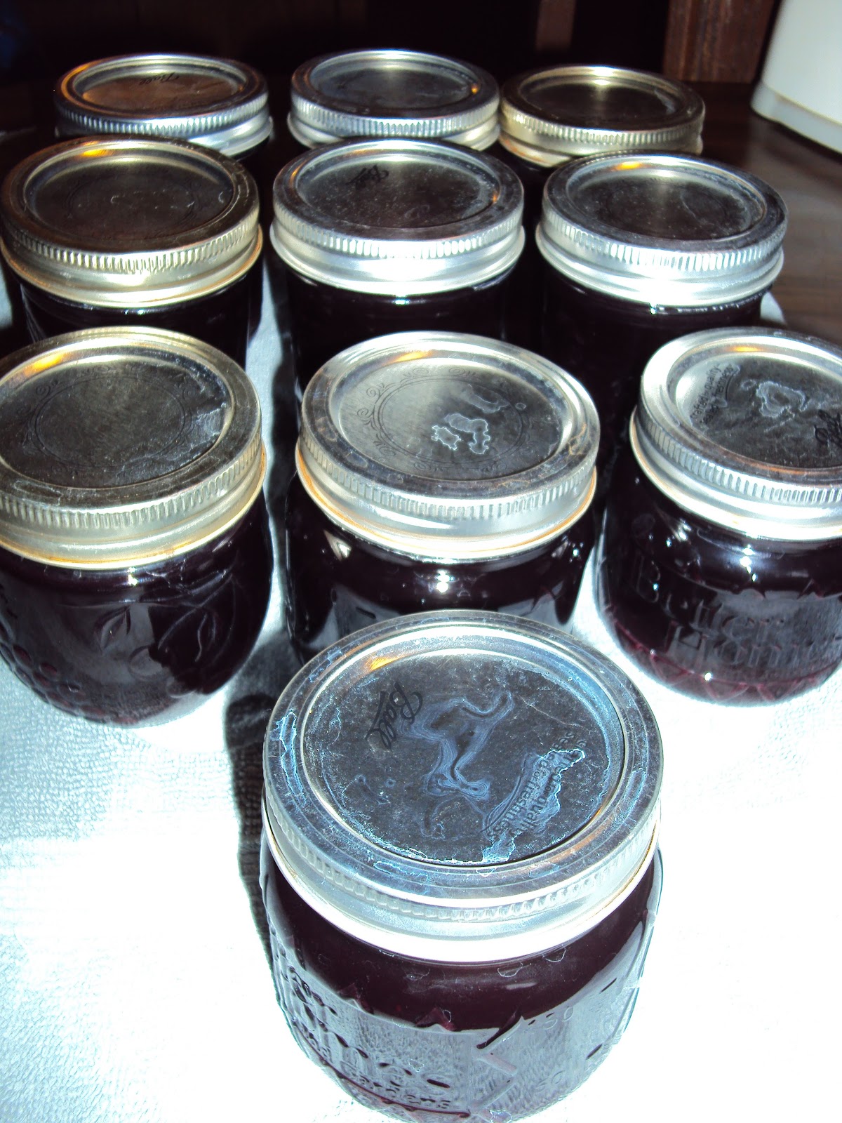 Frugal Like Grandma Canning Blueberry Syrup