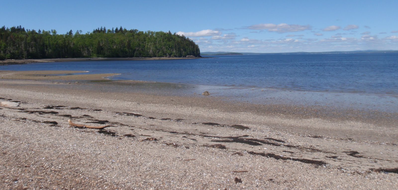 Castine Maine Tide Chart