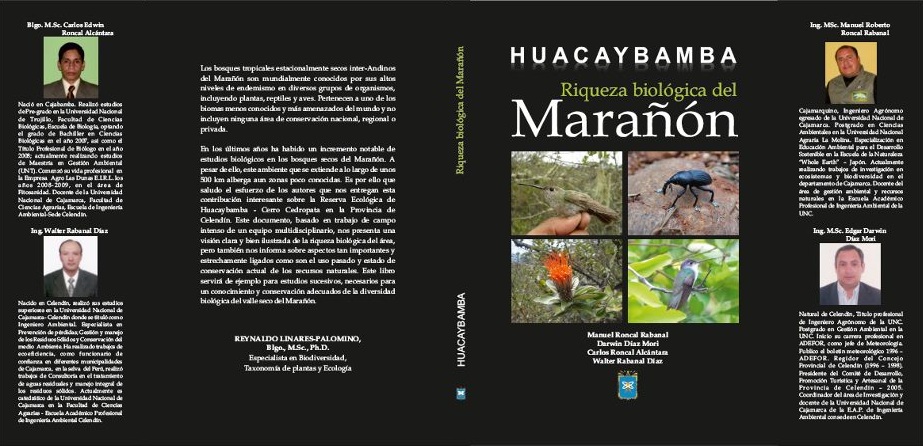 MI MINA CORRUPTA Entrevista al Ing. Manuel Roncal coautor de