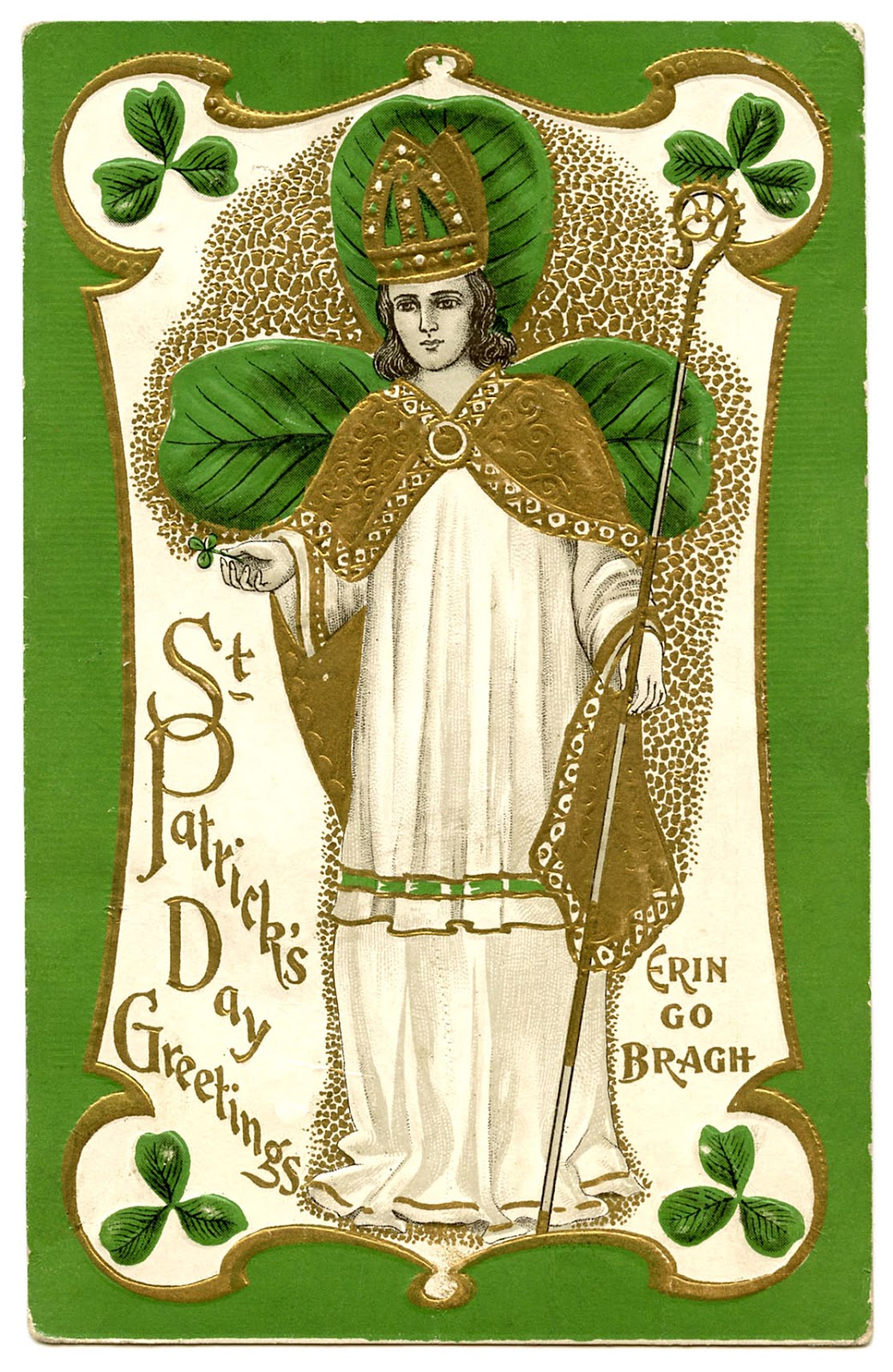 st paddy images