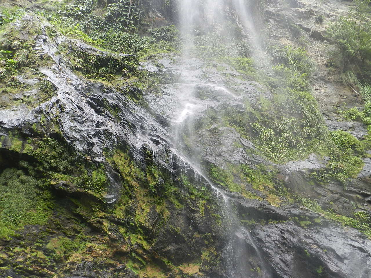 TRAILSPOTS (TSPOTS!) MARACAS FALLS, NORTHERN RANGE, T'DAD PART 2