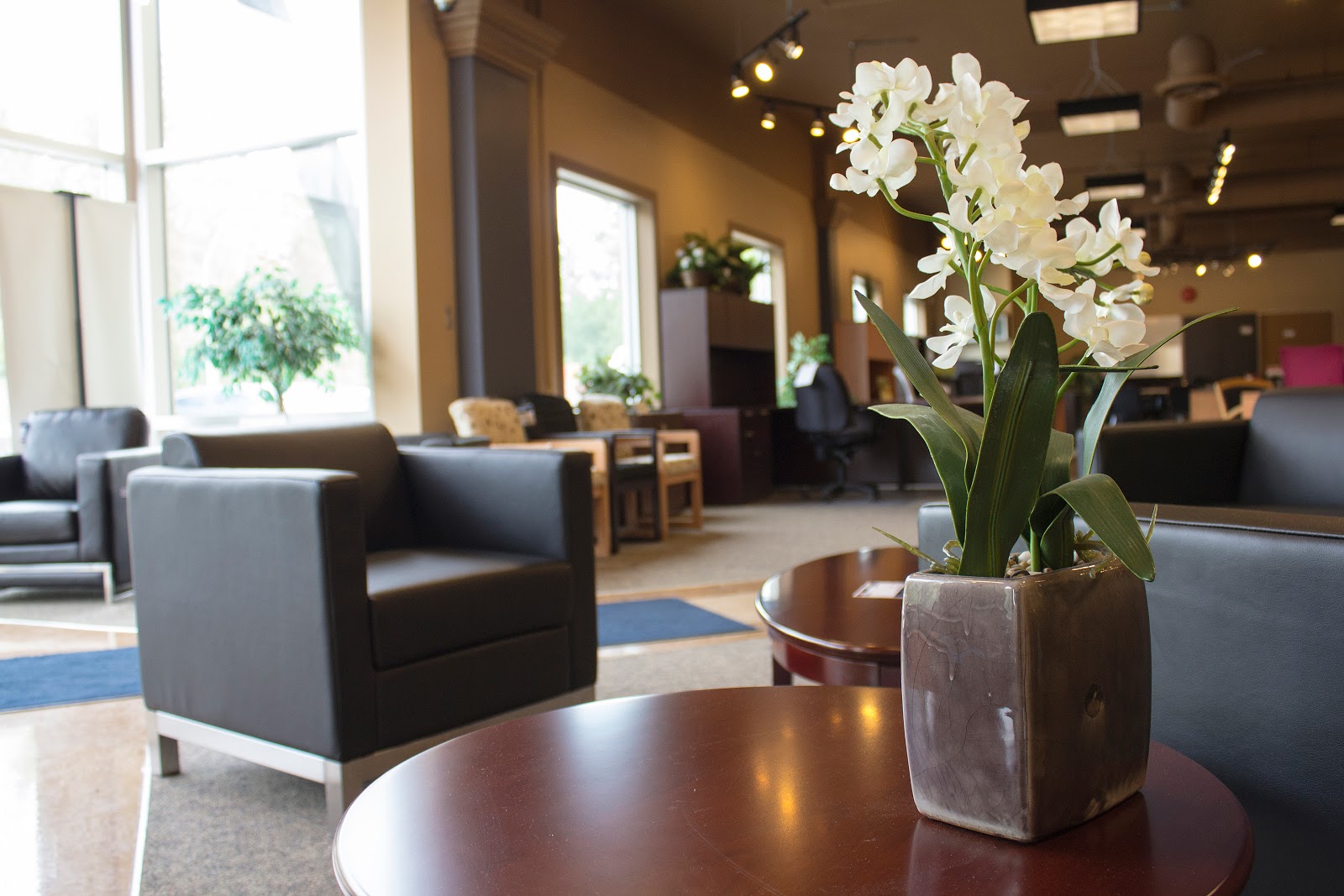 Google Business Photos in Kelowna, Vernon, Osoyoos and The Okanagan Google Virtual Tours