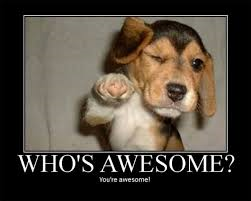 Who's Awesome?