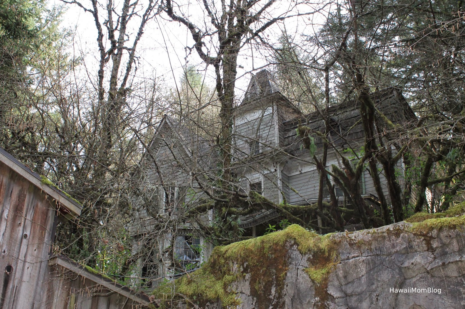 Hawaii Mom Blog Visit Portland Enchanted Forest