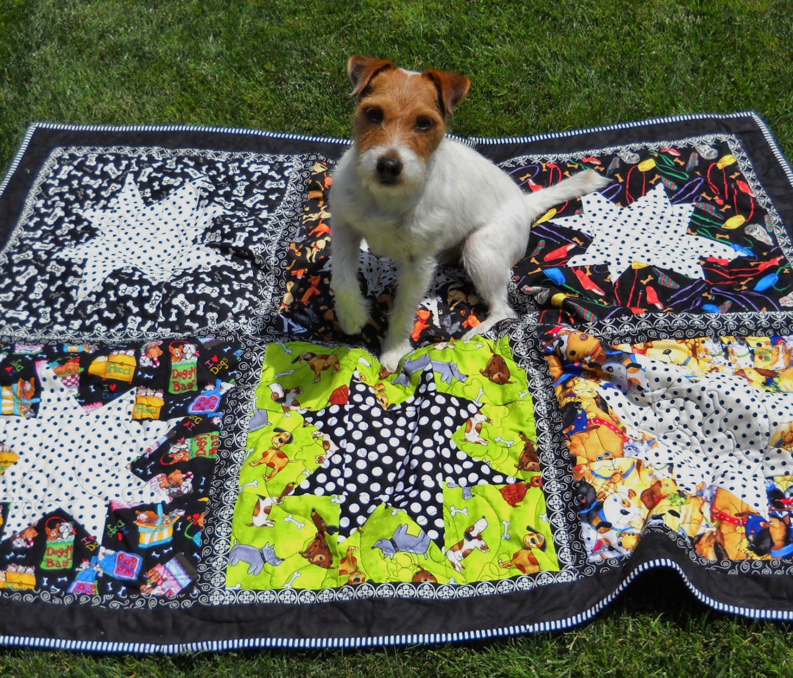 Val's Quilting Studio Pets on Quilts Show & Giveaway