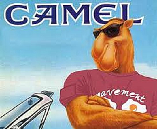 Camel Cigarettes Box