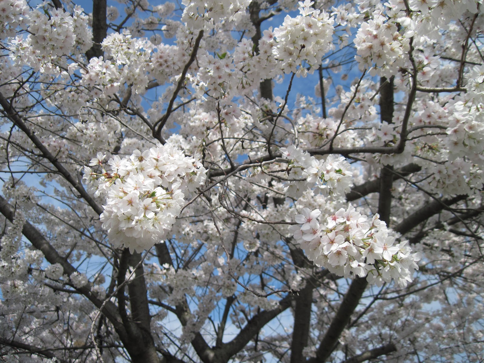 Explore! Southern Indiana Enjoy Spring in Southern Indiana