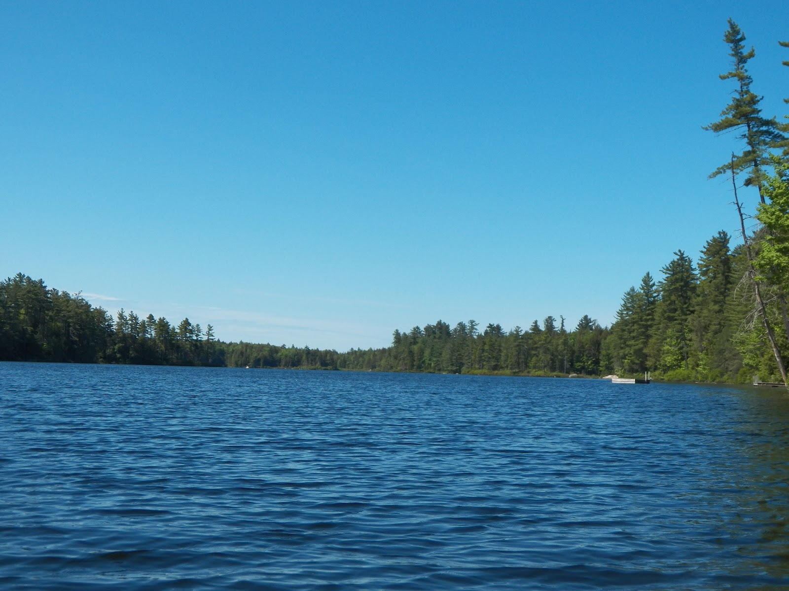 Quiet Kayaking in New York State Francis Lake, part one