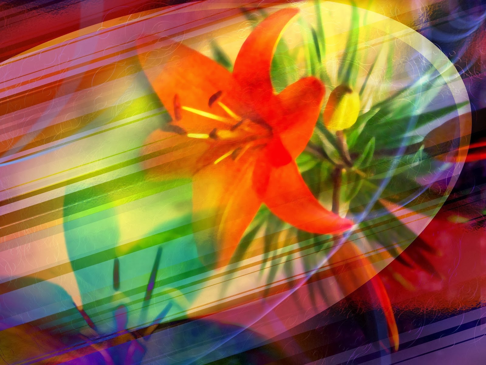 bright flower wallpaper desktop bright flower wallpaper beautiful desktop wallpapers 2014 bright flower wallpaper desktop bright flower wallpaper beautiful desktop wallpapers 2014